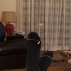 joshuaburns527